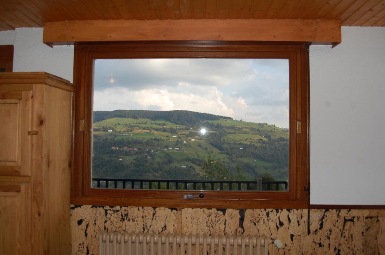 Studio Le Panorama La Bresse Buitenkant foto